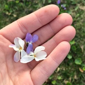 Meet your Posher, Meagan